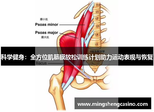 科学健身：全方位肌筋膜放松训练计划助力运动表现与恢复